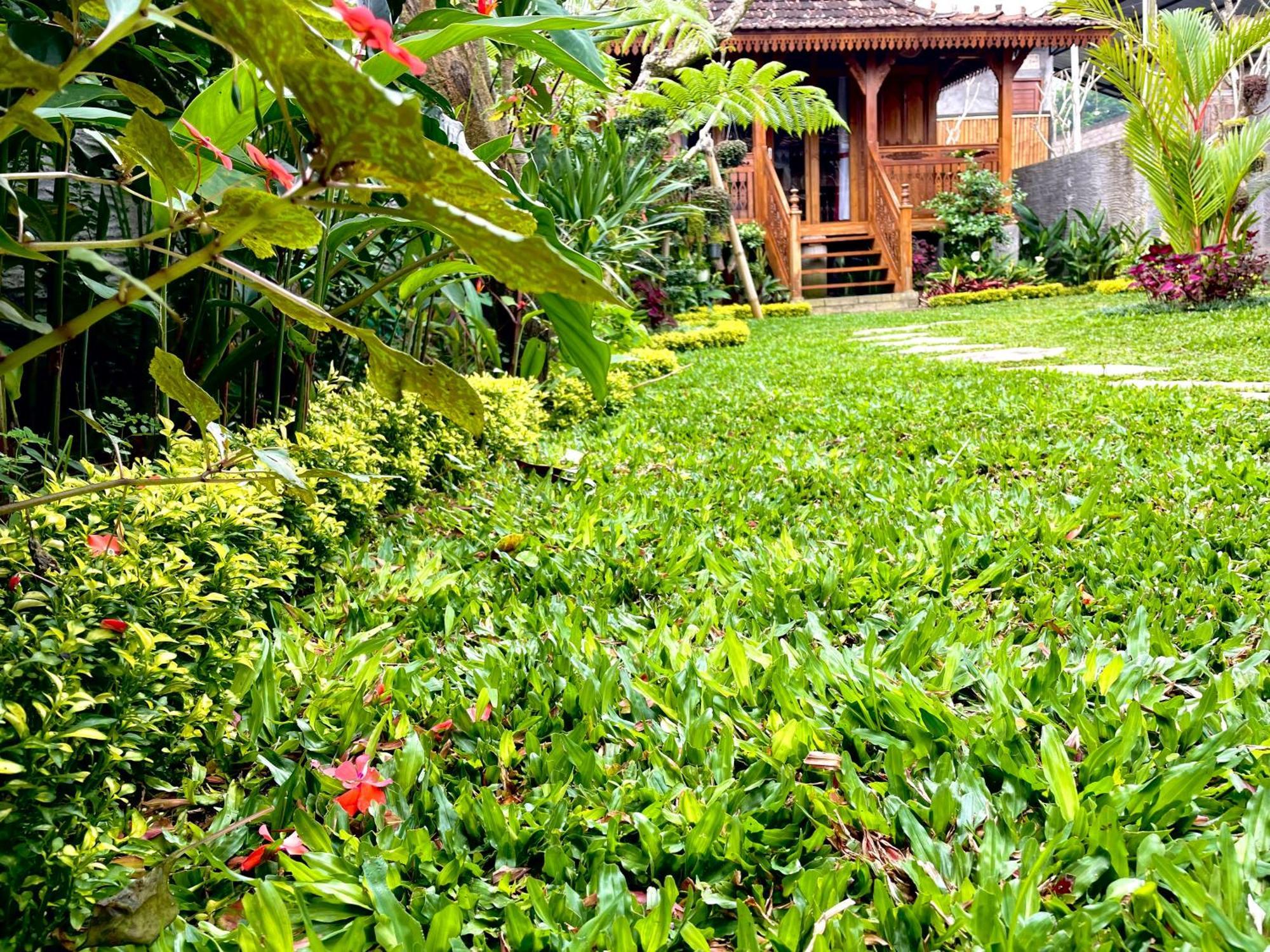 Jane'S House & Spa Bedugul Bali Patjung Exterior foto